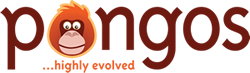 Pongos Interactive